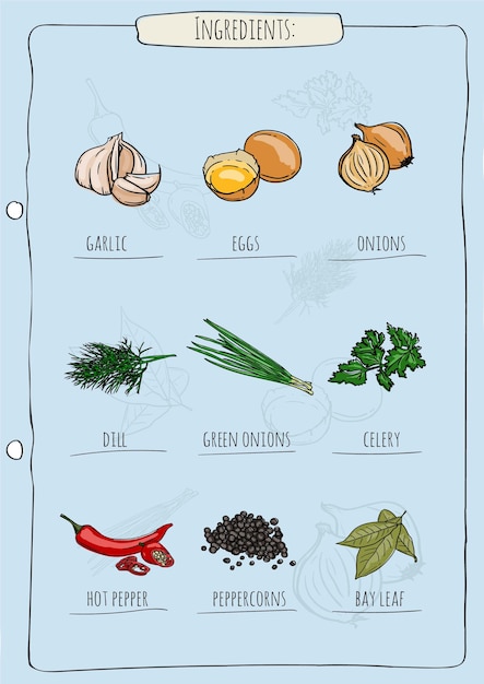 Vector imagen vectorial de ingredientes y especias para una página de recetas de un libro de cocina