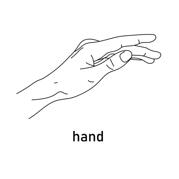 Imagen vectorial de una mano dibujada linealmente
