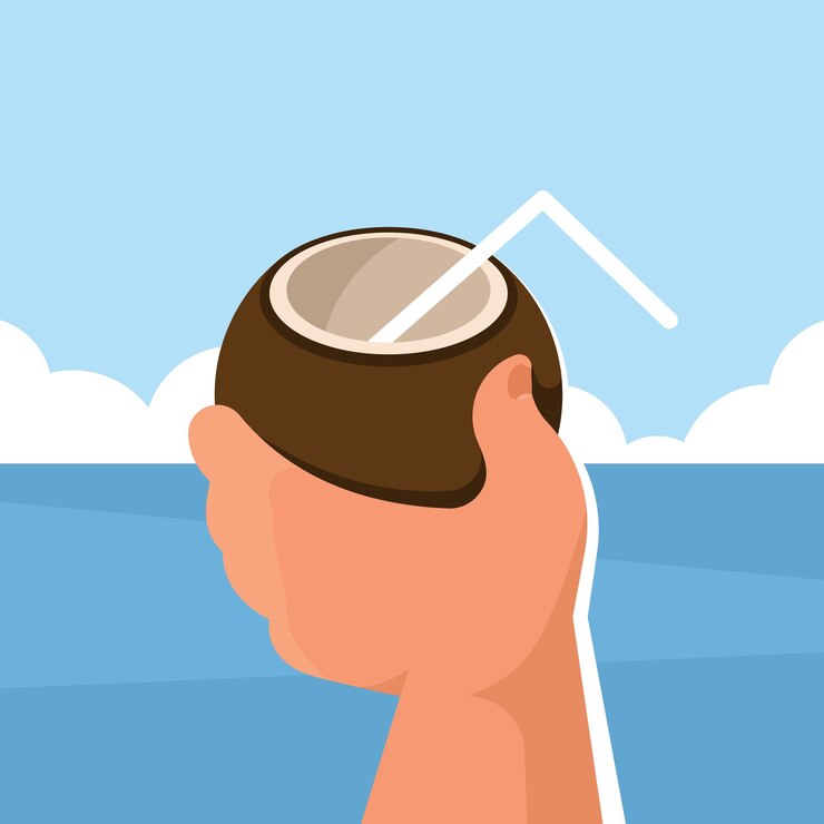 Vector imagen vectorial de una mano sosteniendo un coco aislado sobre fondo transparente