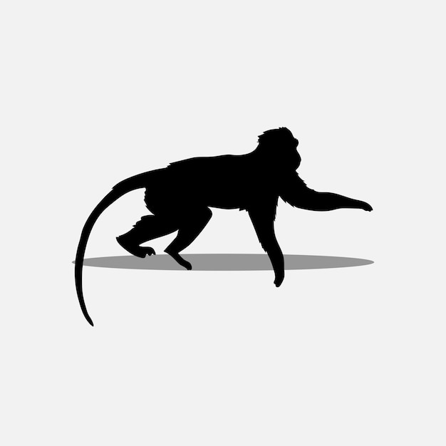 Imagen vectorial de mono
