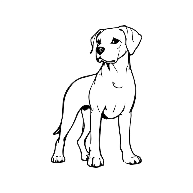 Vector imagen vectorial de perro silueta negra aislada sobre un fondo blanco ilustración linda