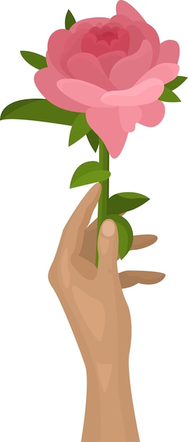 Vector imagen vectorial de una rosa en la mano