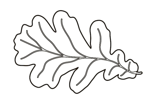 Imagen vectorial silueta de una forma realista de hoja de roble Fondo decorativo estacional