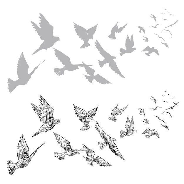 Imagen vectorial de silueta de palomas voladoras