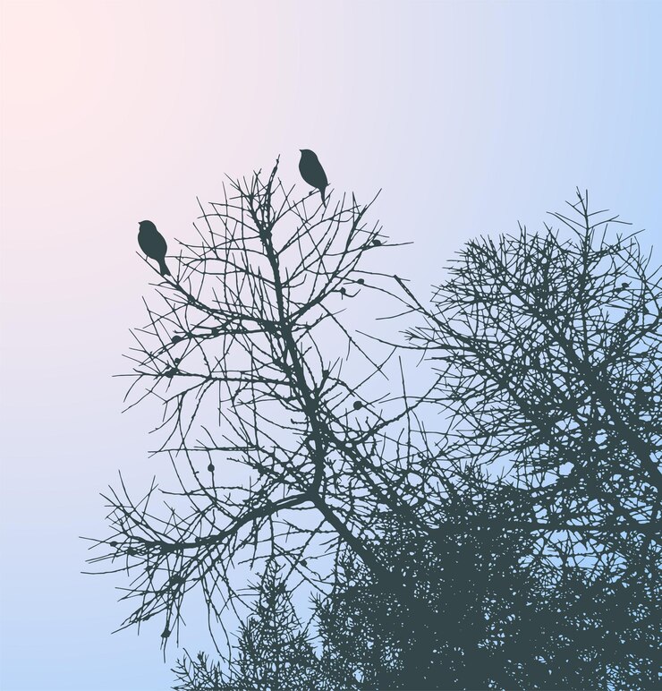 Vector imagen vectorial de siluetas de pájaros sentados en las ramas de los árboles en el día de invierno