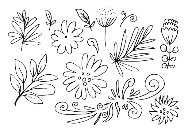 Vector imágenes de flores dibujadas a mano, como crisantemos, girasoles, flores de algodón y hojas tropicales.