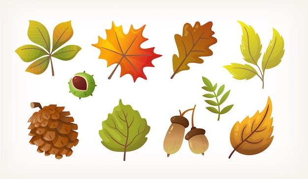 Imágenes de hojas de otoño coloridas