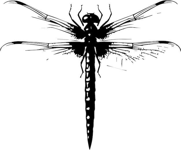 Imágenes de libélula silueta vector