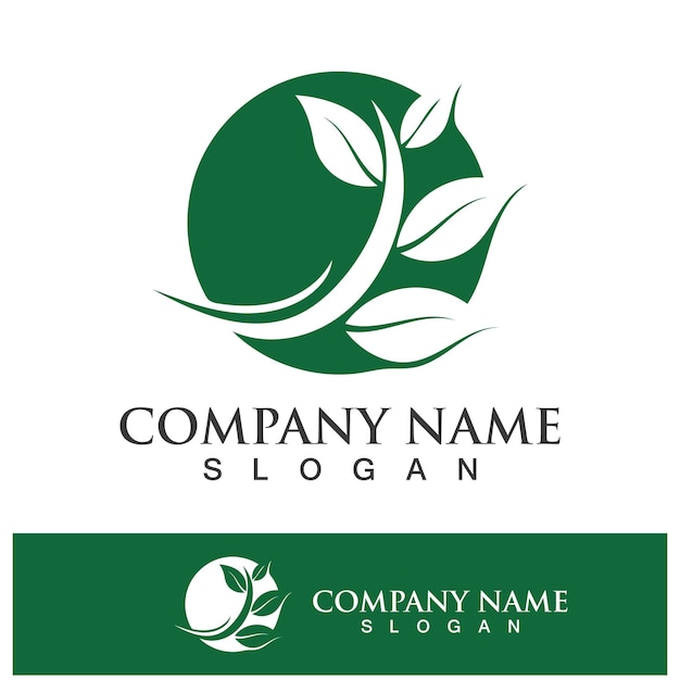 Imágenes del logotipo de la naturaleza de la hoja verde del árbol