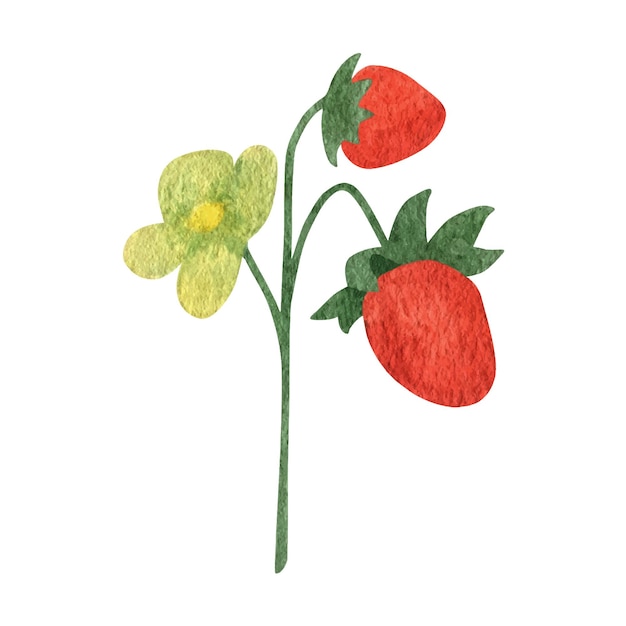 Imágenes Prediseñadas de acuarela de bosque de fresas silvestres