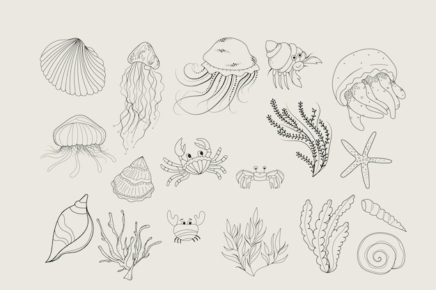 Imágenes prediseñadas detalladas bajo el mar
