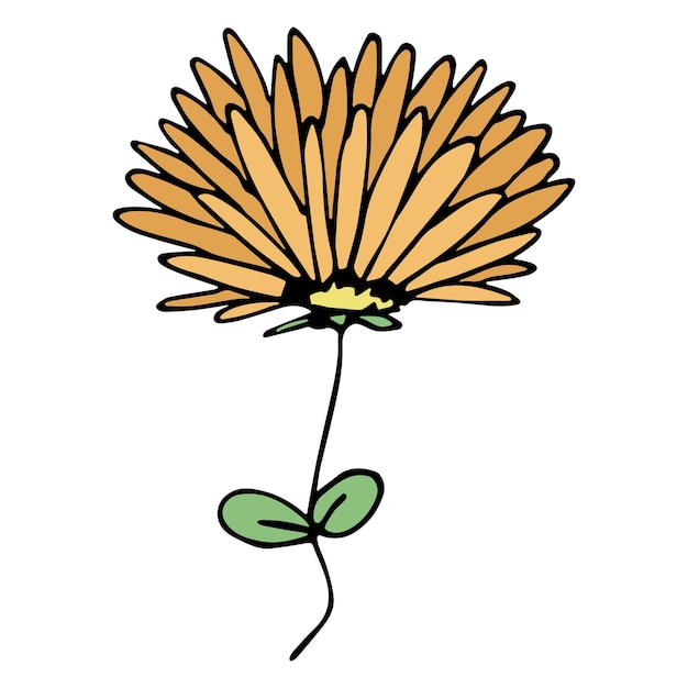 Imágenes prediseñadas de flores simples Doodle floral dibujado a mano para imprimir el logotipo de decoración de diseño web
