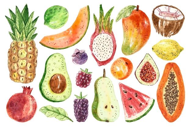 Imágenes prediseñadas de frutas tropicales. papaya, coco, mora, frambuesa, piña, aguacate, melón, fruta del dragón, sandía, albaricoque, higos, limón, lima, arándano, pera, granada.