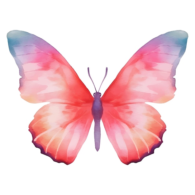 Vector imágenes prediseñadas de mariposa insecto acuarela con múltiples colores