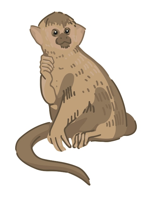 Imágenes prediseñadas de mono ardilla común Garabato único de animal salvaje tropical aislado en blanco Ilustración de vector de color en estilo de dibujos animados