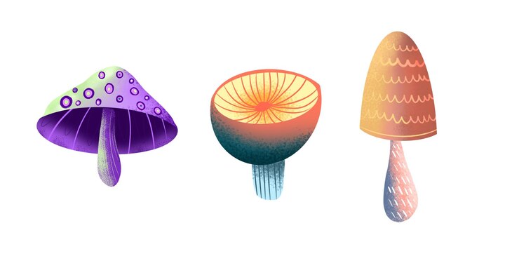 Vector imágenes prediseñadas de setas acuarela