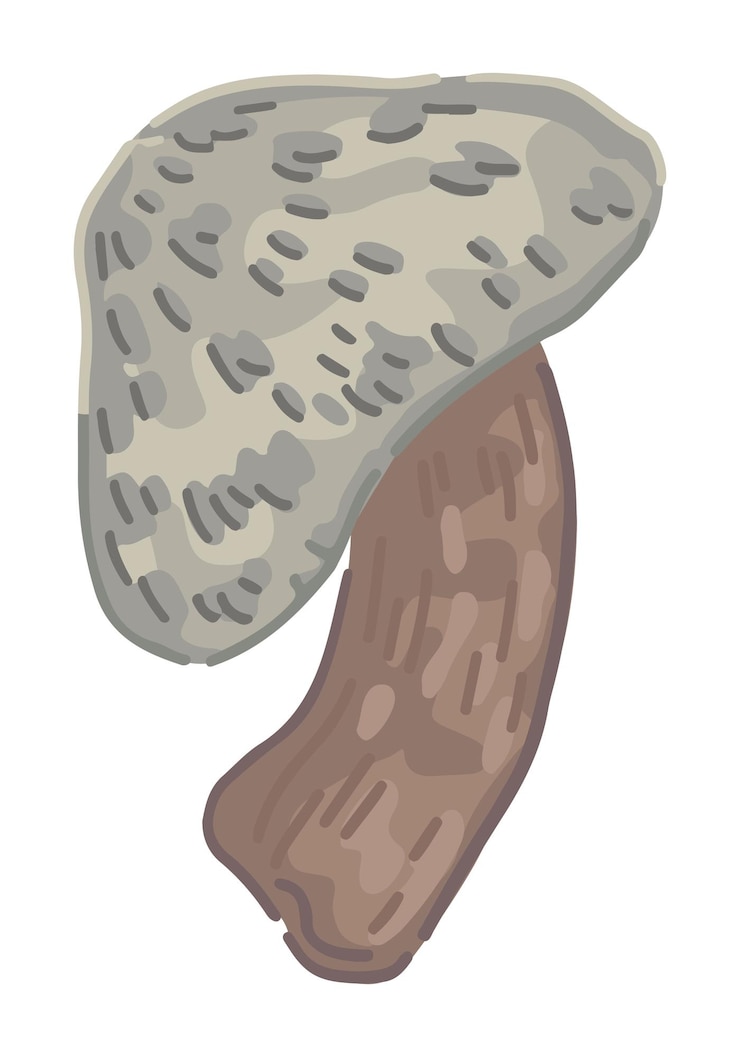 Vector imágenes prediseñadas de setas venenosas aisladas en blanco hongo abstracto en estilo de dibujos animados ilustración vectorial coloreada de la decoración de halloween