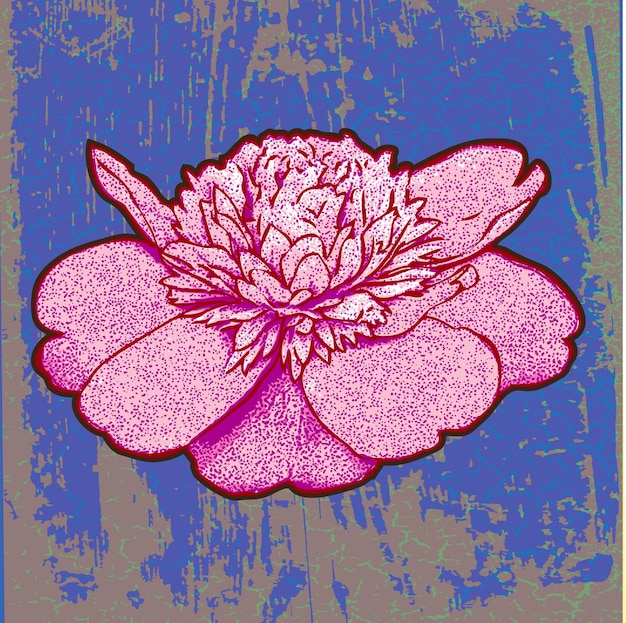 imágenes vectoriales de flor de peonía sobre fondo de textura antigua