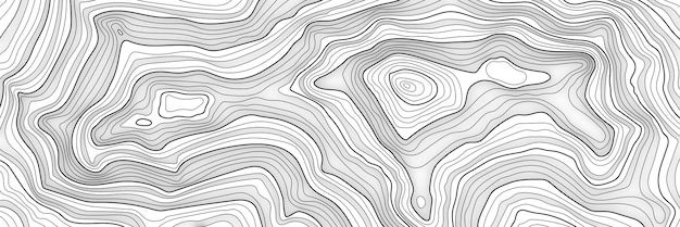 Imitación de un mapa geográfico con líneas negras sobre fondo blanco