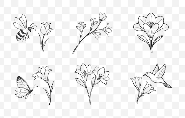 Imprenta Elegant Freesia Line Art Vector Set con ilustraciones detalladas de flores para el diseño floral
