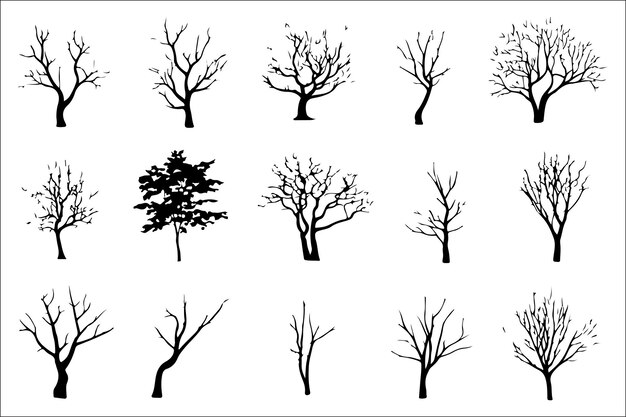 Impresión de árbol en blanco y negro Conjunto de arte mural minimalista de la naturaleza con fondo blanco