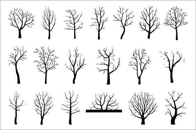 Impresión de árbol en blanco y negro Conjunto de arte mural minimalista de la naturaleza con fondo blanco