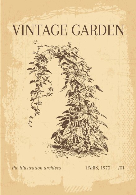 Impresión de arte de pared de cartel vectorial del Jardín Botánico de época impresión de arte floral