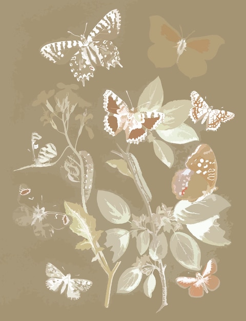 Vector impresión de arte de pared de ilustración de mariposas y polillas vintage