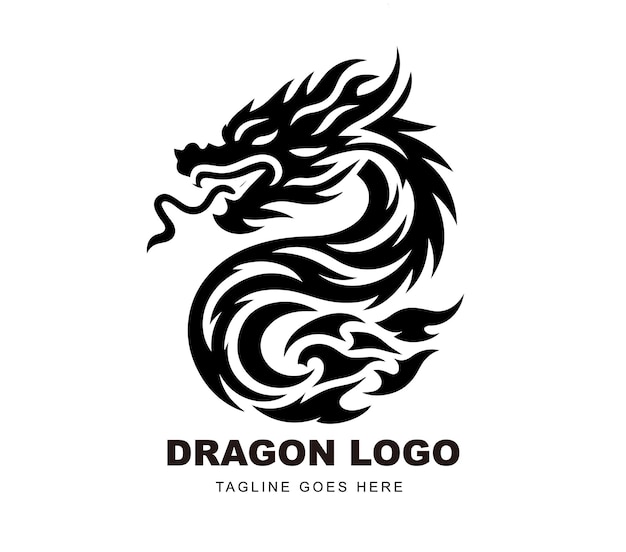 Impresión de camiseta con diseño vectorial de dragón
