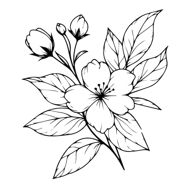 Impresión de contorno con flores flor de jazmín ramo de jazmín hojas y cogollos tatuaje de flor de jasmín