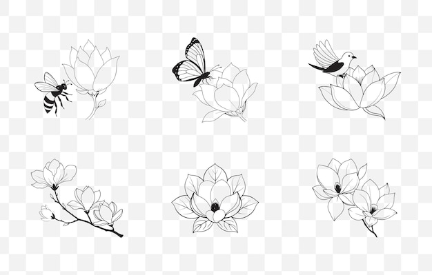 Impresión detallada Magnolia Line Art Vector Set con elegantes diseños florales y elementos botánicos