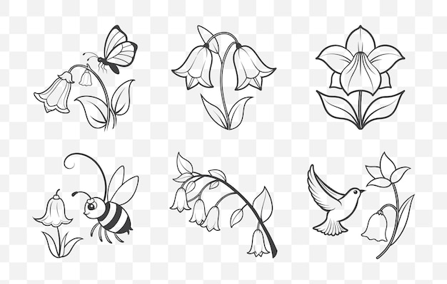 Impresión elegante Bellflower Flower Line Art Vector Set Perfecto para el diseño floral e ilustración botánica