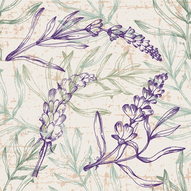 Impresión para imprimir en textiles, envases de ropa, comercialización de productos de lavanda Ilustración vectorial dibujada a mano
