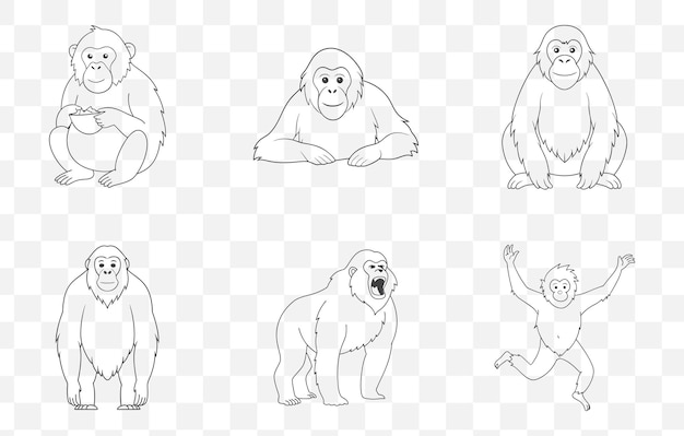 Impresión de Orangutan Line Art Vector Set Colección de diseños detallados y hermosos
