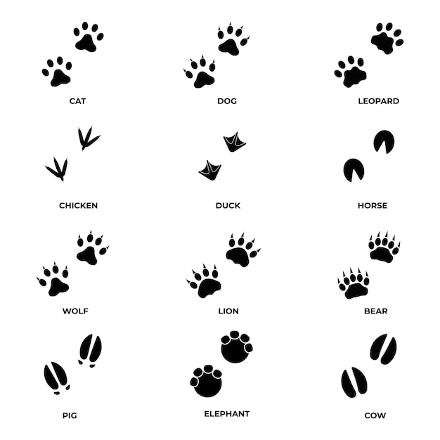 Vector impresión de patas conjunto de impresión de patas iconos de patas de animales