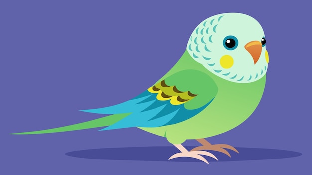 Vector impresión pod diseño gráfico obras de arte budgerigar budgies camiseta con capucha cubierta de almohada clipar