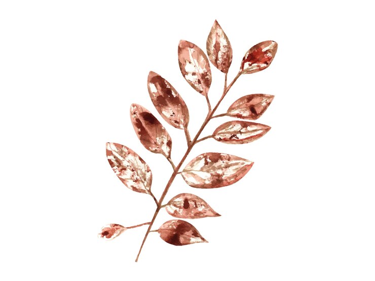 Vector impresión de rowan de otoño ilustración en acuarela de hojas secas de otoño para impresións de decoración de herbarios carteles de carteles de estructura de textura