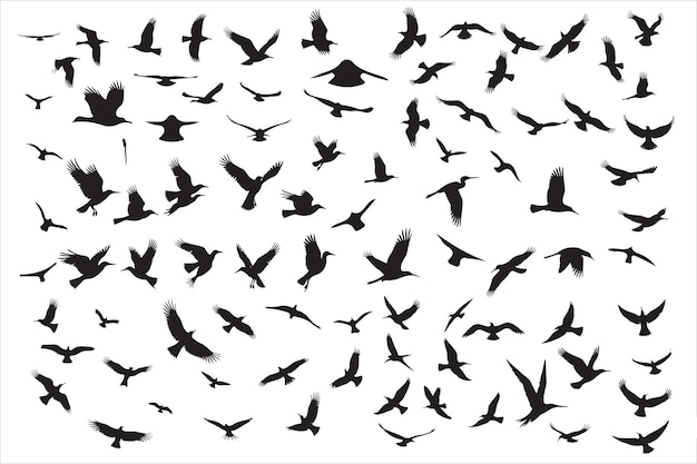 Impresión de siluetas de pájaros voladores en diseño en movimiento