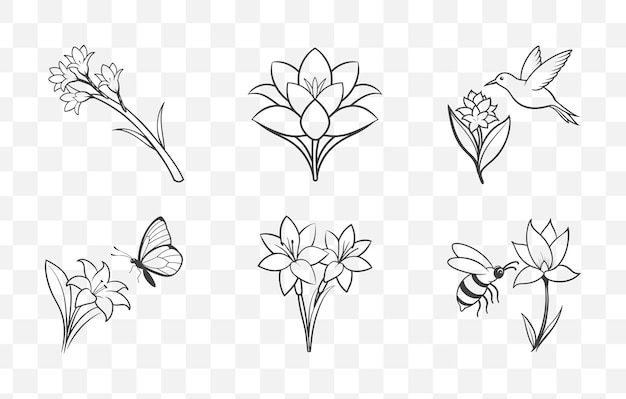 Impresión de tubérculos línea de flores arte vectorial conjunto elegantes ilustraciones botánicas para el diseño