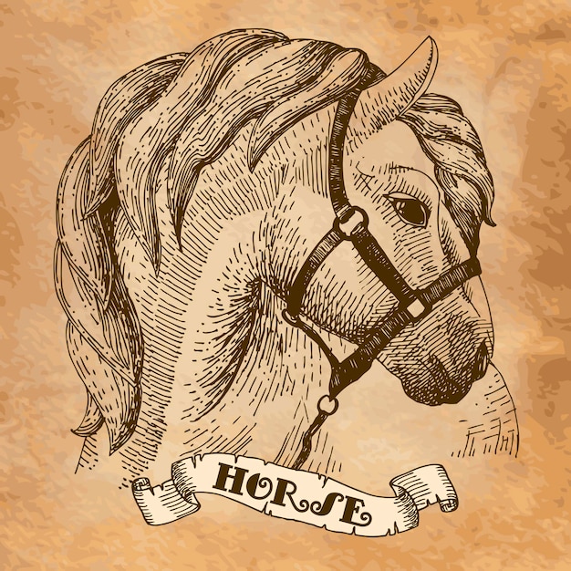 Vector impresiones de estilo de ilustración de cabeza de caballo