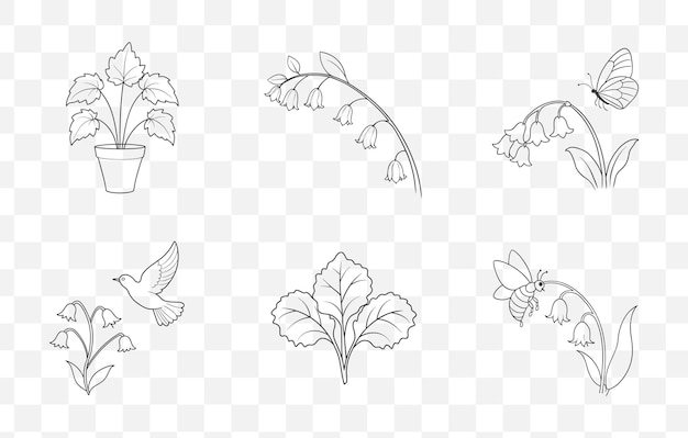 Imprime las campanas de coral, las flores, las líneas botánicas, la colección de arte vectorial con ilustraciones detalladas.