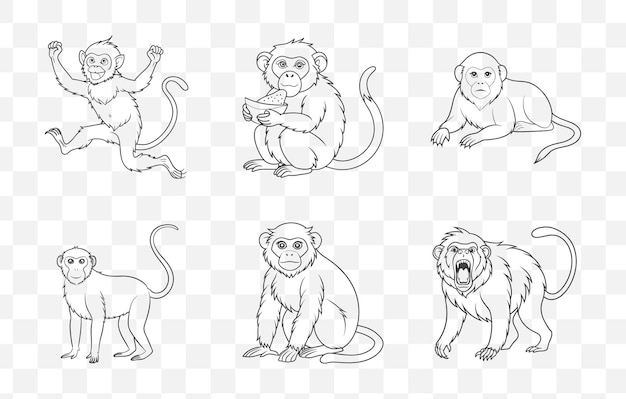 Imprime la colección de conjuntos vectoriales de arte de línea de mono
