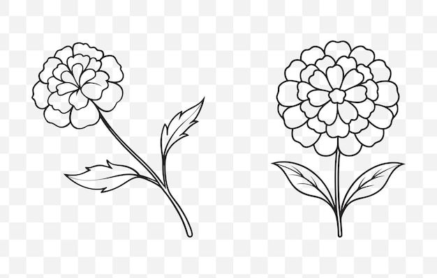 Imprime el conjunto de arte vectorial Marigold Line Comprehensive. Ilustraciones florales intrincadas para el diseño creativo.