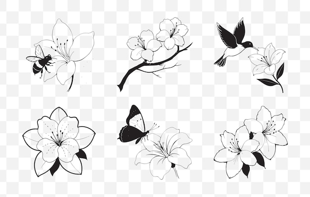 Imprime el conjunto de vectores de arte de línea de azalea integral para diseños florales detallados y elegantes