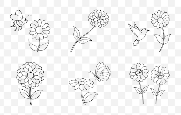 Imprime el conjunto de vectores de arte de línea Zinnia integral con ilustraciones florales detalladas y D elegante