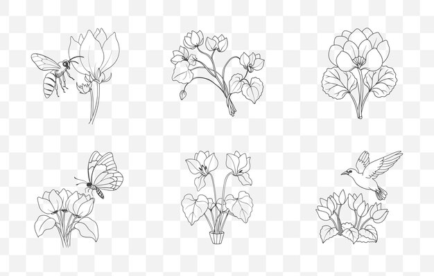 Imprime el conjunto de vectores artísticos integrales de la línea de flores de ciclamen para ilustraciones botánicas y diseños florales
