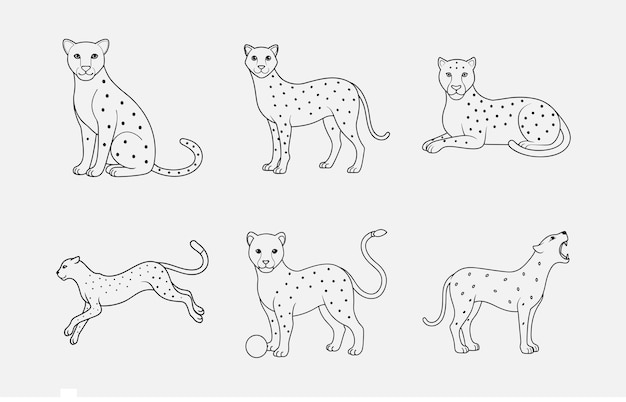 Imprime Ultimate Cheetah Line Art Vector Set Diseños exquisitos para todas sus necesidades creativas