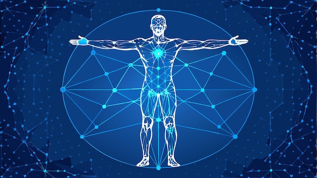 Imprimir digital Vitruviano Humano Da Vinci Anatomía Cuerpo conectado con líneas de puntos y triángulos Abstracto