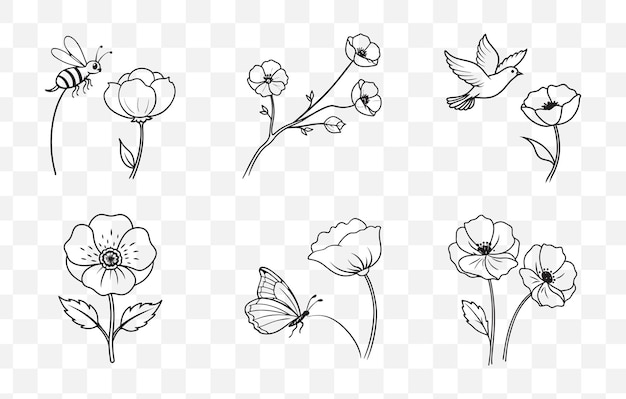 Imprimir elegante Poppy Flower Line Art Vector Set para diseños creativos e ilustraciones detalladas