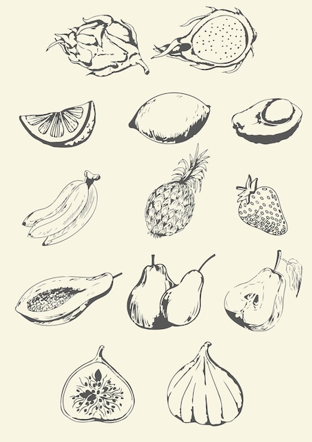 Vector imprimir frutas